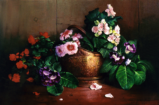  Oscar Durand, Begonias and Gloxinias